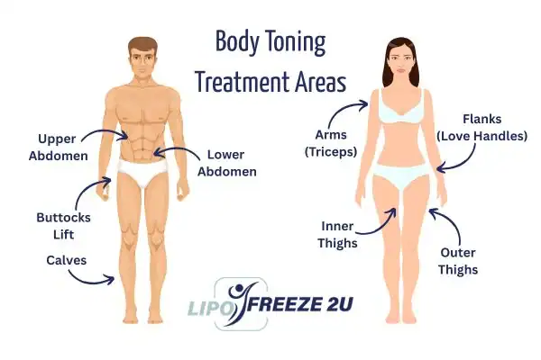 Graphic showing where you can have Body toning Treatment Littlehampton on your body
